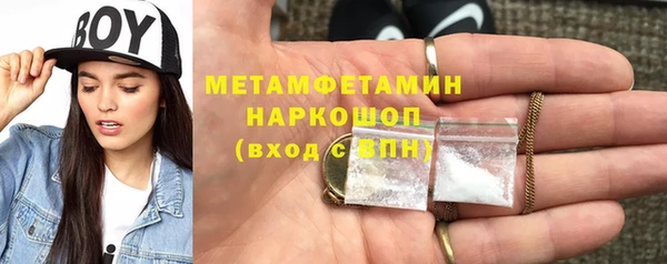 индика Краснослободск