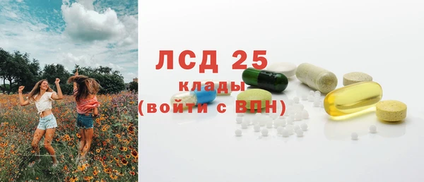 индика Краснослободск