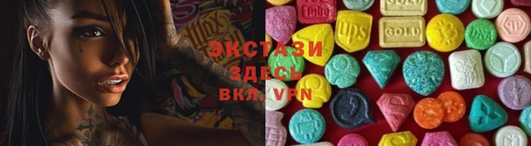 индика Краснослободск