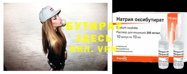 индика Краснослободск