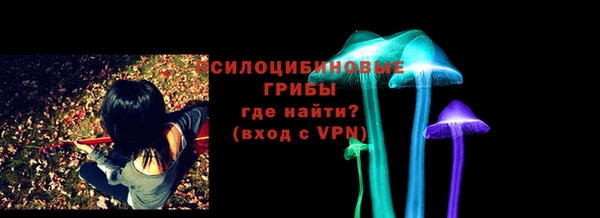 Альфа ПВП Кукмор