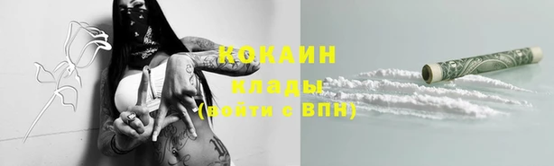 индика Краснослободск