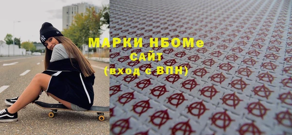 индика Краснослободск