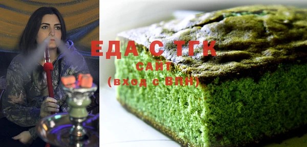 индика Краснослободск