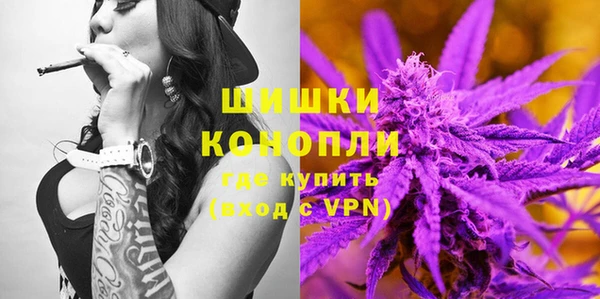индика Краснослободск