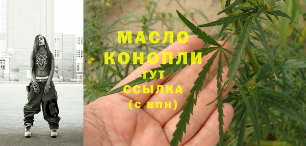 индика Краснослободск