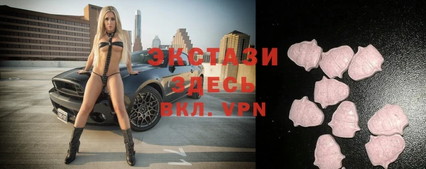 индика Краснослободск
