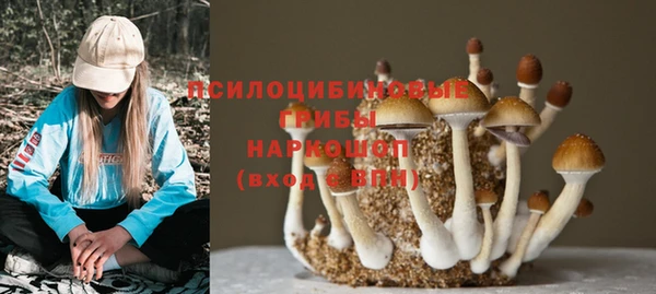 jwh Куйбышев