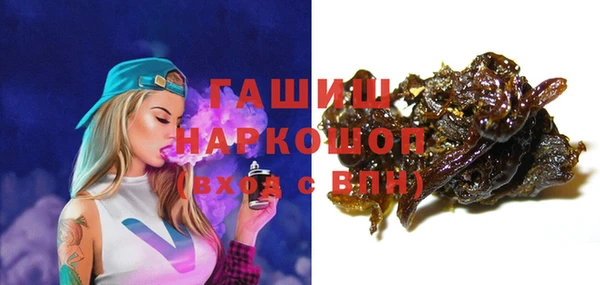 индика Краснослободск