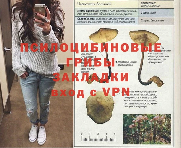 индика Краснослободск