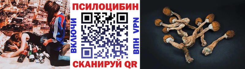 Псилоцибиновые грибы ЛСД купить Кубинка