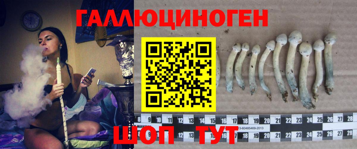 Кубинка  Галлюциногенные грибы Cubensis  Галлюциногенные грибы Psilocybe  Вход с VPN 